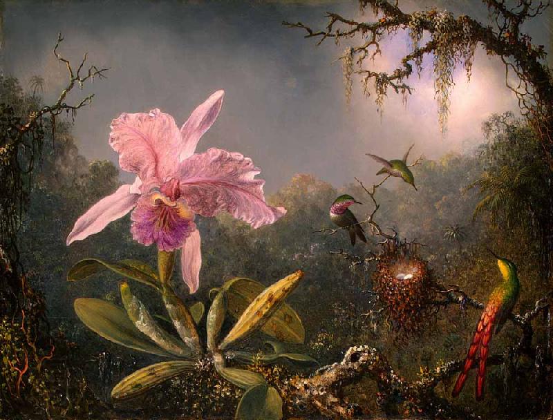 Martin Johnson Heade Cattleya Orchid and Three Hummingbirds China oil painting art